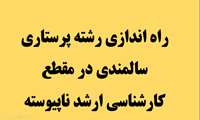 موافقت نهایی شورای گسترش دانشگاه های علوم پزشکی با راه اندازی رشته کارشناسی ارشد پرستاری سالمندی